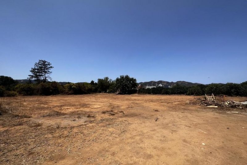 Alikianos Kreta - Alikianos: Flaches Baugrundstück, perfekt für Ihr Traumhaus Grundstück kaufen